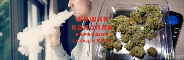 MESCALINE Нязепетровск
