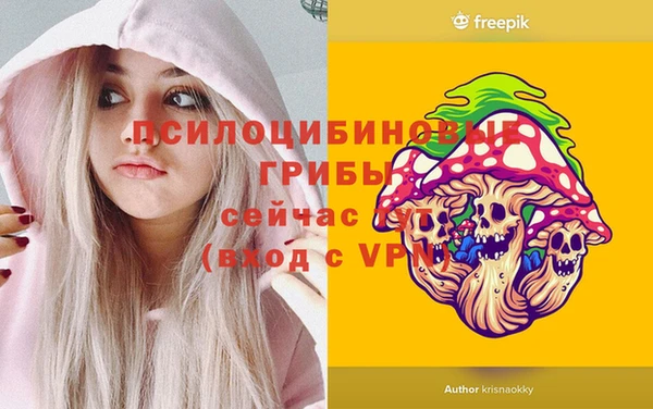 меф Няндома