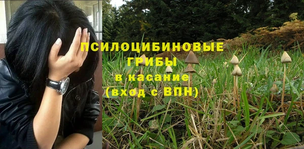 прущая мука Остров