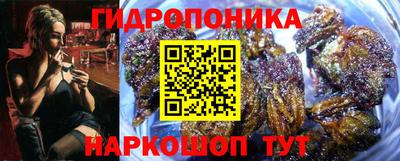 крисы Канаш