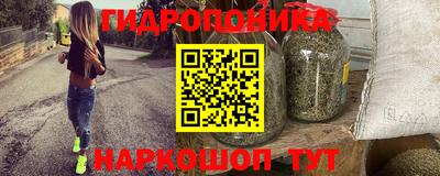 сатива Аргун