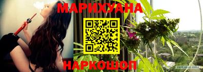 крисы Канаш