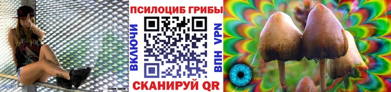 Псилоцибиновые грибы Psilocybine cubensis  Сертолово 