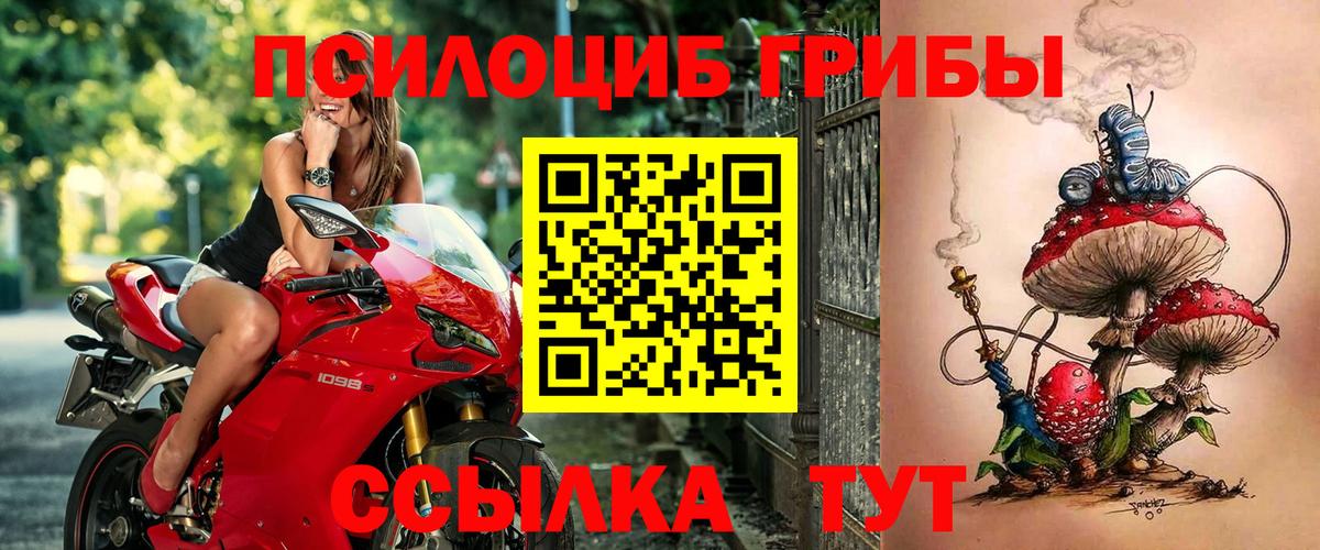 Галлюциногенные грибы Cubensis Сертолово