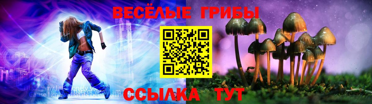Сертолово  Псилоцибиновые грибы Psilocybine cubensis  Галлюциногенные грибы MAGIC MUSHROOMS  Вход с VPN 