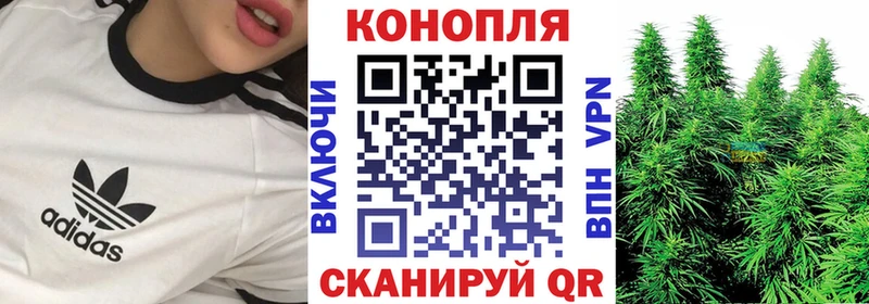 где купить   Сертолово  Канабис OG Kush 
