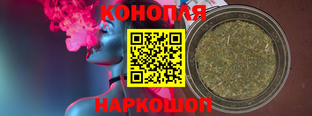 Канабис OG Kush Сертолово